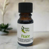 Car Diffuser & Essential Oil Blend Gift Pack