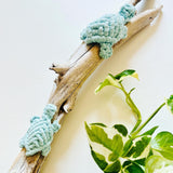 Mum & Baby Turtles on Driftwood - Seafoam