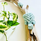 Mum & Baby Turtles on Driftwood - Seafoam