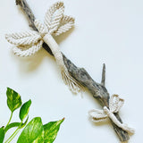Mum & Baby Dragonflies on Driftwood