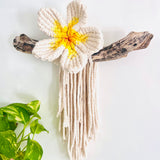 Frangipani Flower Wall Hanging Single