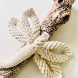 Dragonfly on Driftwood - Natural