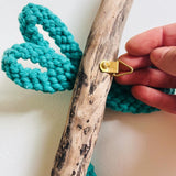 Teal Dragonfly on Driftwood