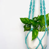 Macrame Plant Hanger - Round Design
